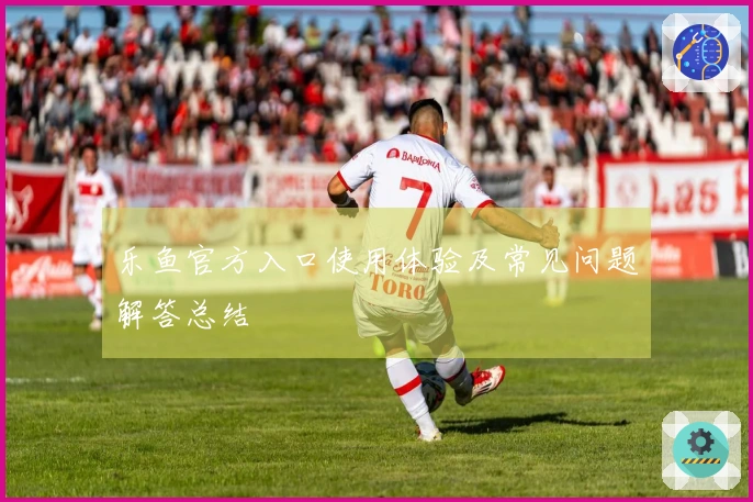 乐鱼官方入口使用体验及常见问题解答总结