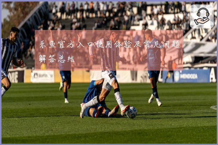 乐鱼官方入口使用体验及常见问题解答总结